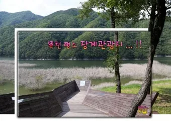 옥천 가볼만한곳 베스트10 현지인 추천 필수코스_7