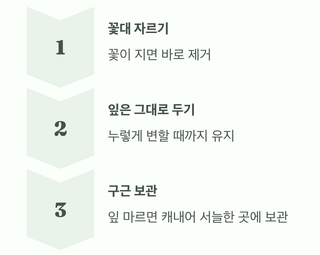 꽃이 진 후, 내년을 위한 약속