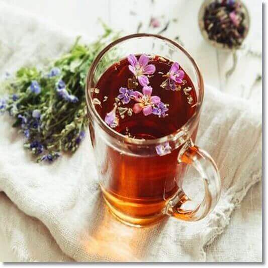 허브에 풍부한 플라본, 허브차