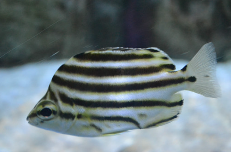 울진 아쿠아리움