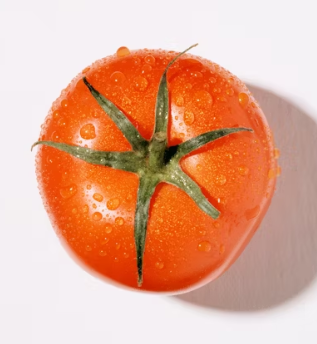 토마토 효능 부작용 고르는법 칼로리