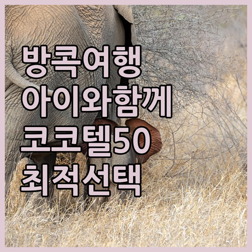 아이와 함께 방콕 여행? 코코텔 수쿰..
