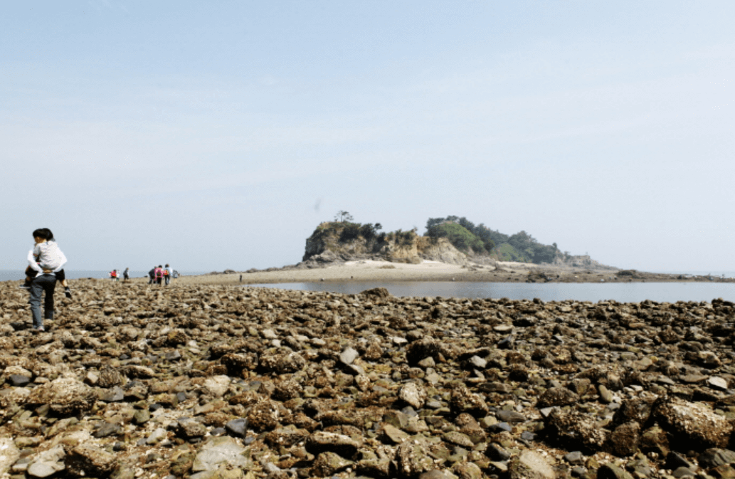 국화도 해변 (화성시)