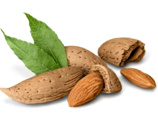 역류성 식도염에 좋은 음식 피해야 할 나쁜 음식