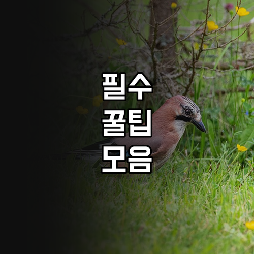 2025년 사하구 고등학생 교복비 3..