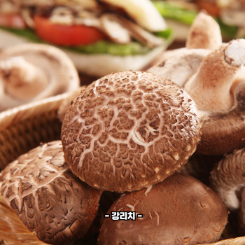 판토텐산 음식