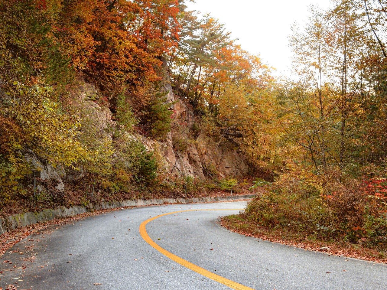 용화산 단풍 관련 사진첨부