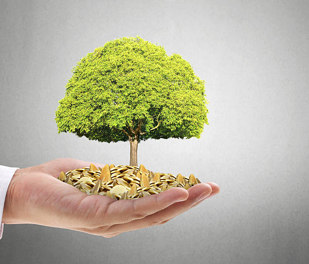 수입을 늘리는 현실적인 방법