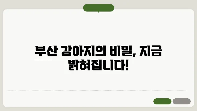 부산 강아지 문화, 입양과 분양에 대한 진실