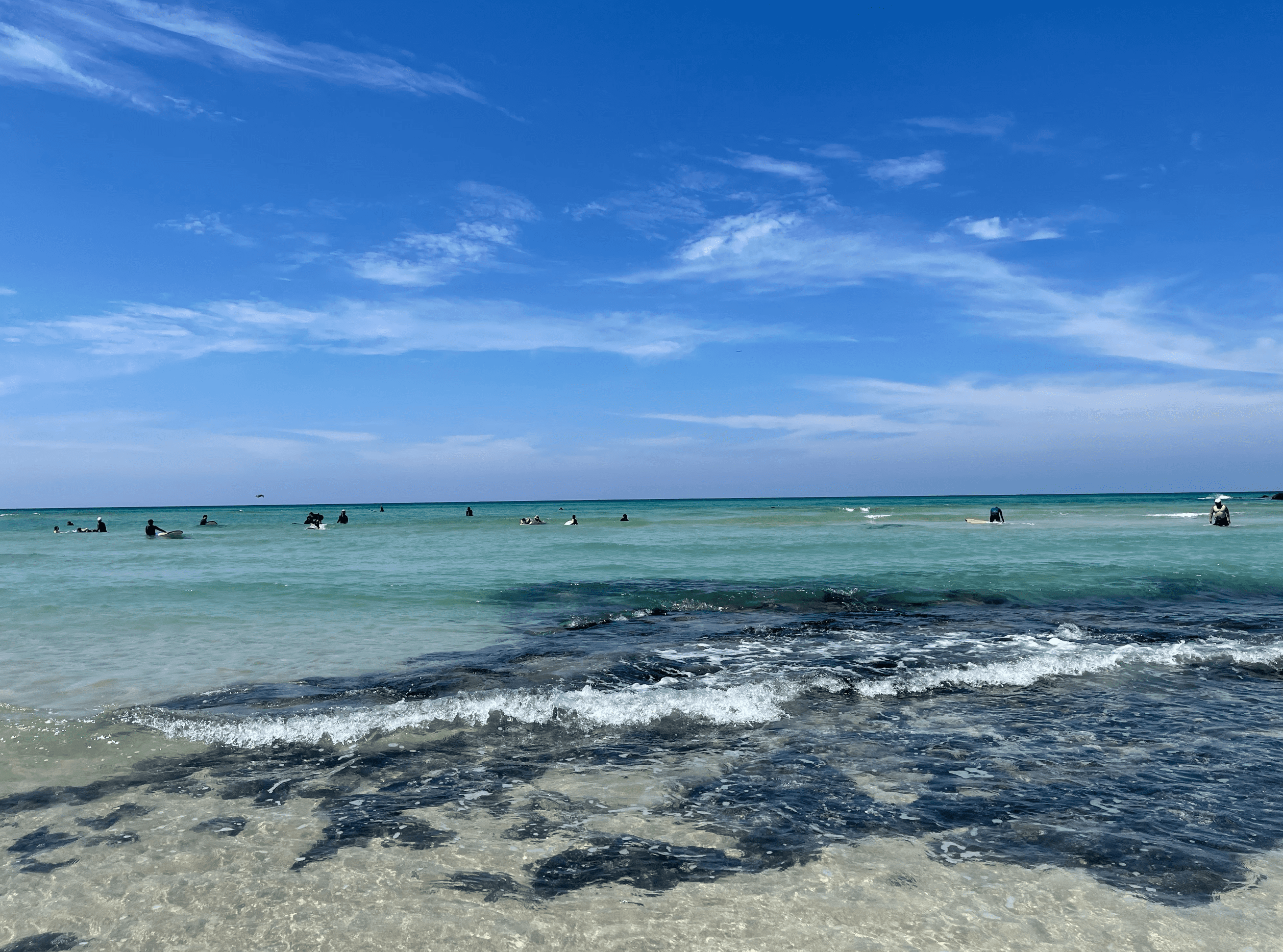 제주도 바다