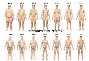 40대 여자 체지방률 평균 20~25% 계산 방법 측정법 다이어트_3