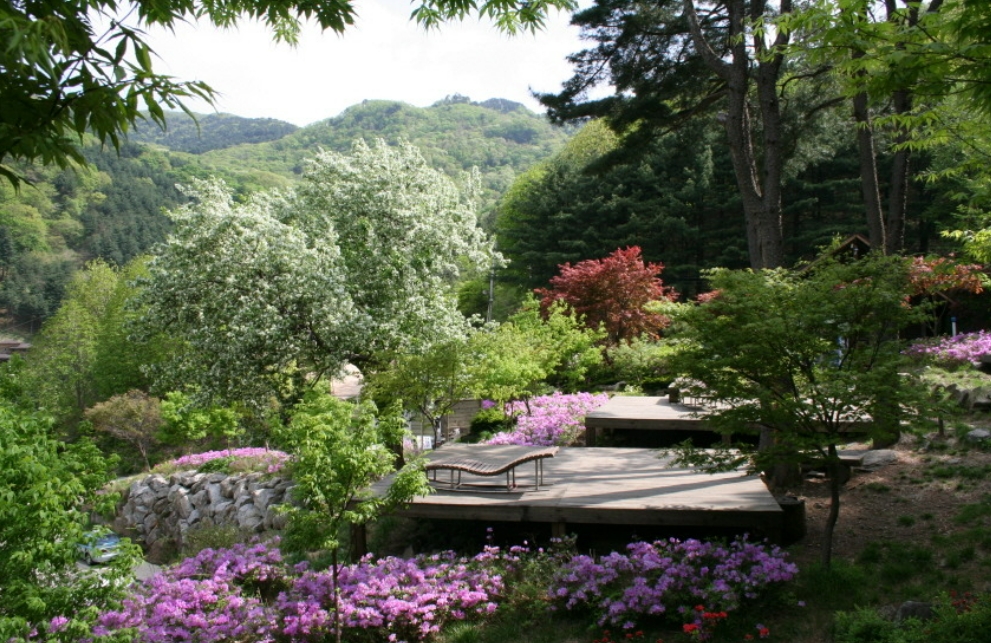 축령산 자연휴양림 힐링여행 숙박 가이드
