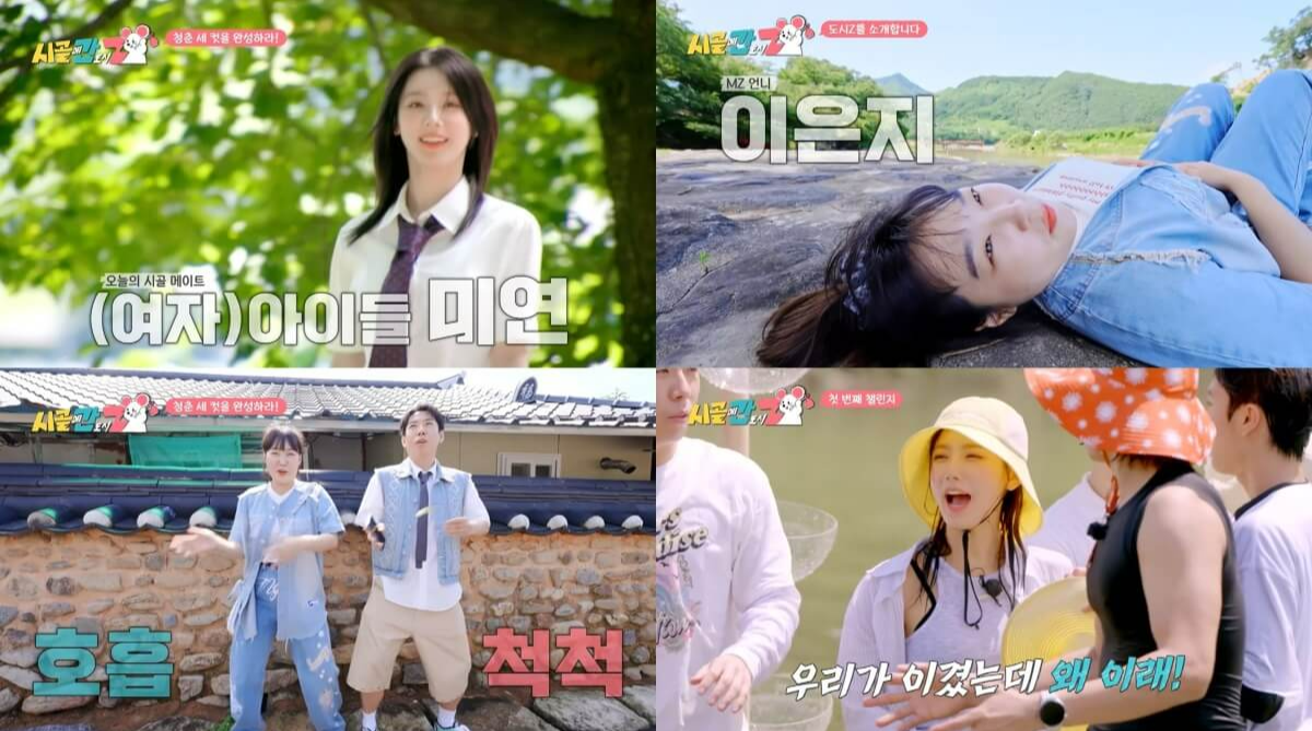 시골에 간 도시Z