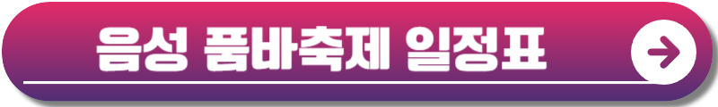 음성 품바축제