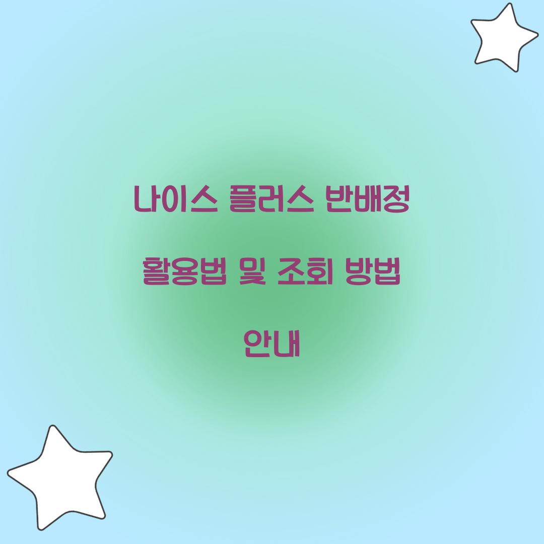 나이스 플러스 반배정