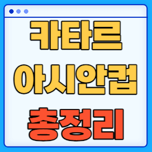 2023 AFC 카타르 아시안컵 대한민국 축구 조편성 무료중계 총정리