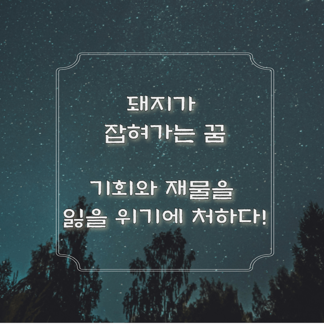 돼지가 잡혀가는 꿈