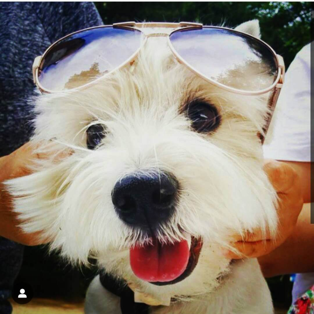 CJ대한통운 택배