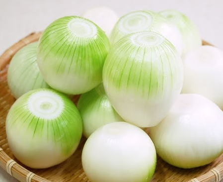 양파의 섭취 방법