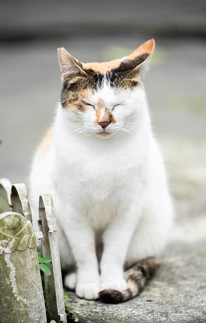 잠들기 전 1시간 디지털 기기 끄기의 놀라운 효과