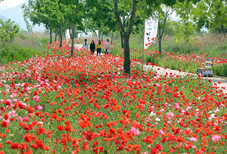 밀양-초동연가길