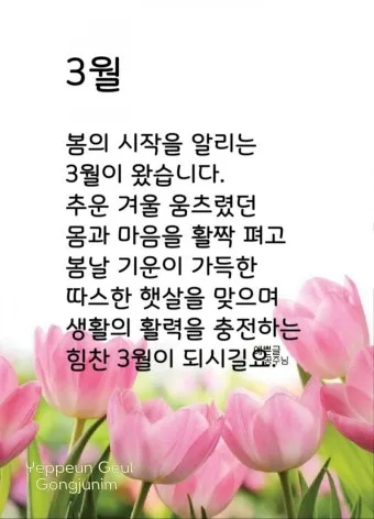 3월 인사말 모음 예시 문자_7