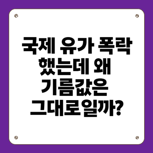 국제 유가 폭락했는데 왜 기름값은 그대로일까?