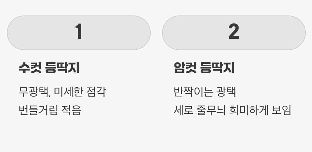 두 번째 힌트, '등딱지'의 광택