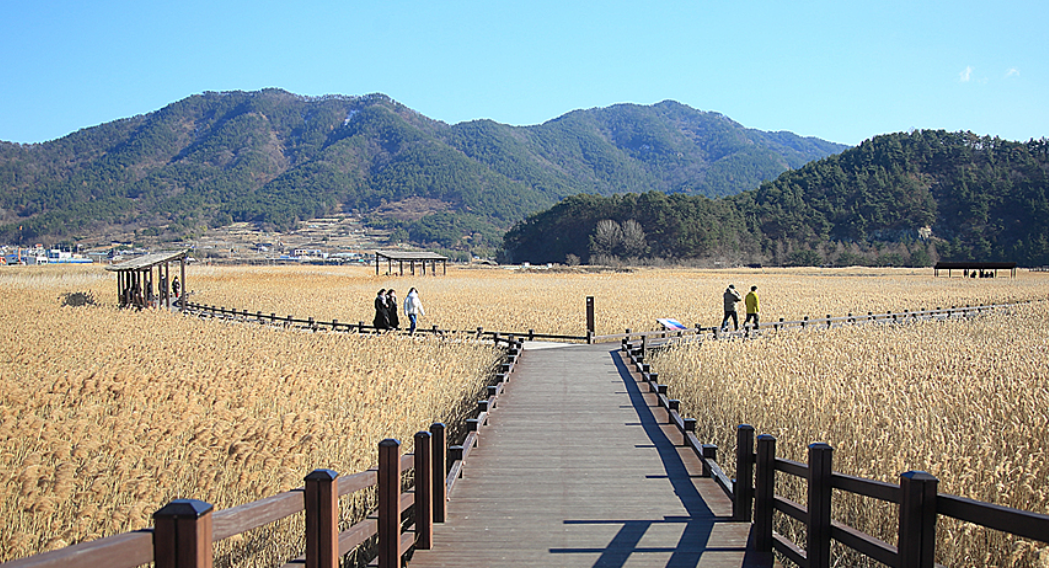 순천만 습지