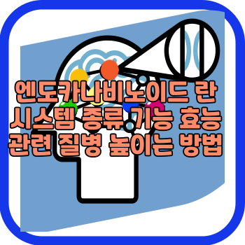 엔도카나비노이드 란 시스템 종류 기능 효능 관련 질병 높이는 방법