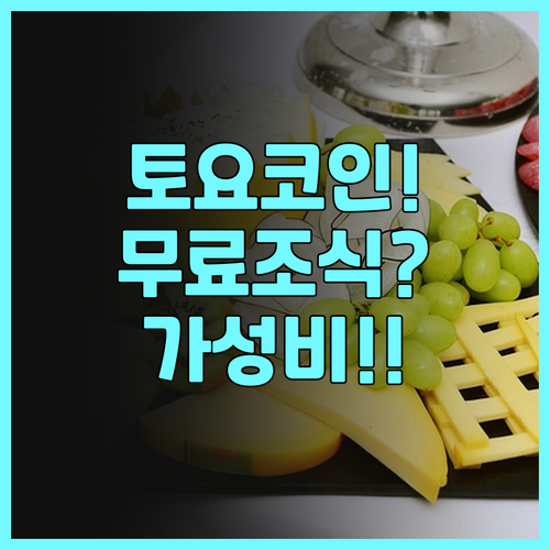 토요코인 교토 비와코 오쓰 추천! 무..