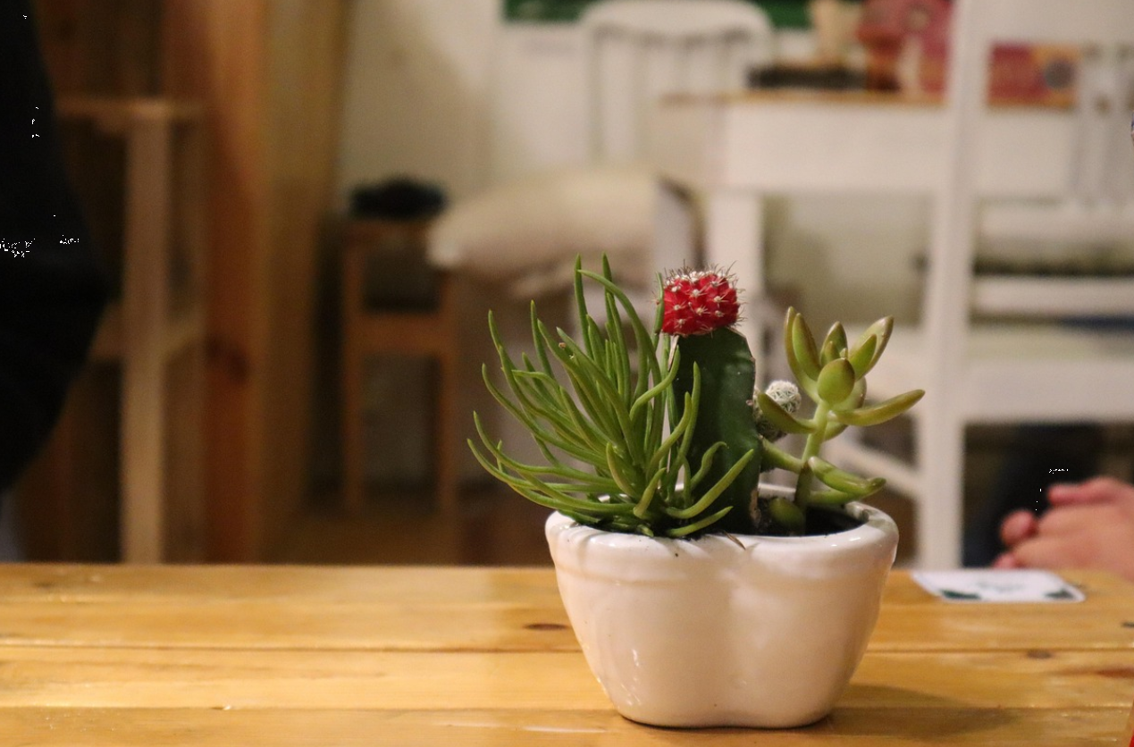 방정리를 통한 마음 정리 효과에 대한 사진