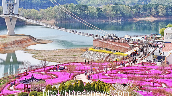 임실 옥정호 작약 꽃밭, 임실 가볼만한 곳 추천✨