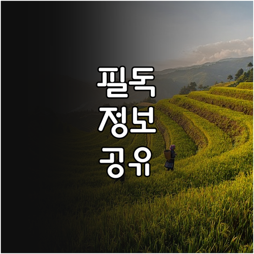 2025 광명시 고령운전자 면허 반납..