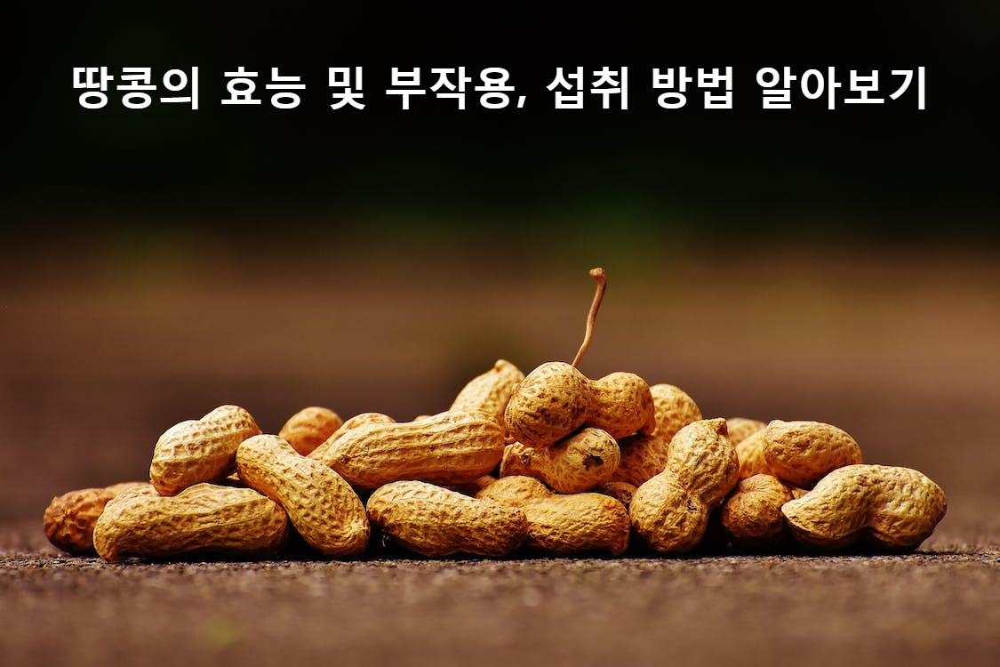 땅콩의 효능 및 부작용, 섭취 방법 알아보기