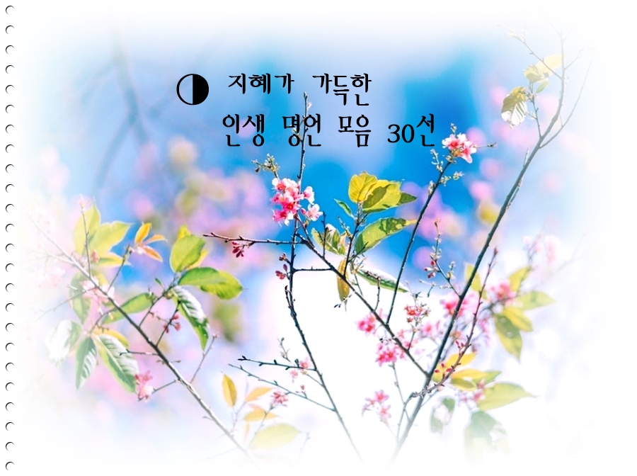 지혜가 가득한 인생 명언