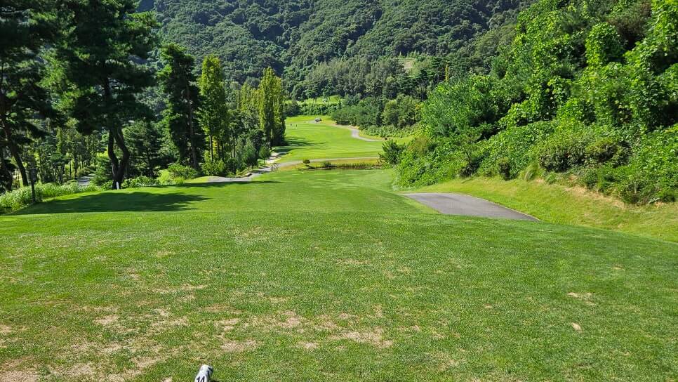 골프장 경험담 충주 세일cc 샷의 정교함이 필요한 골프장