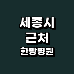 세종시 한방병원