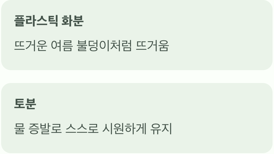 뿌리에게 시원한 여름을, '냉각 효과'