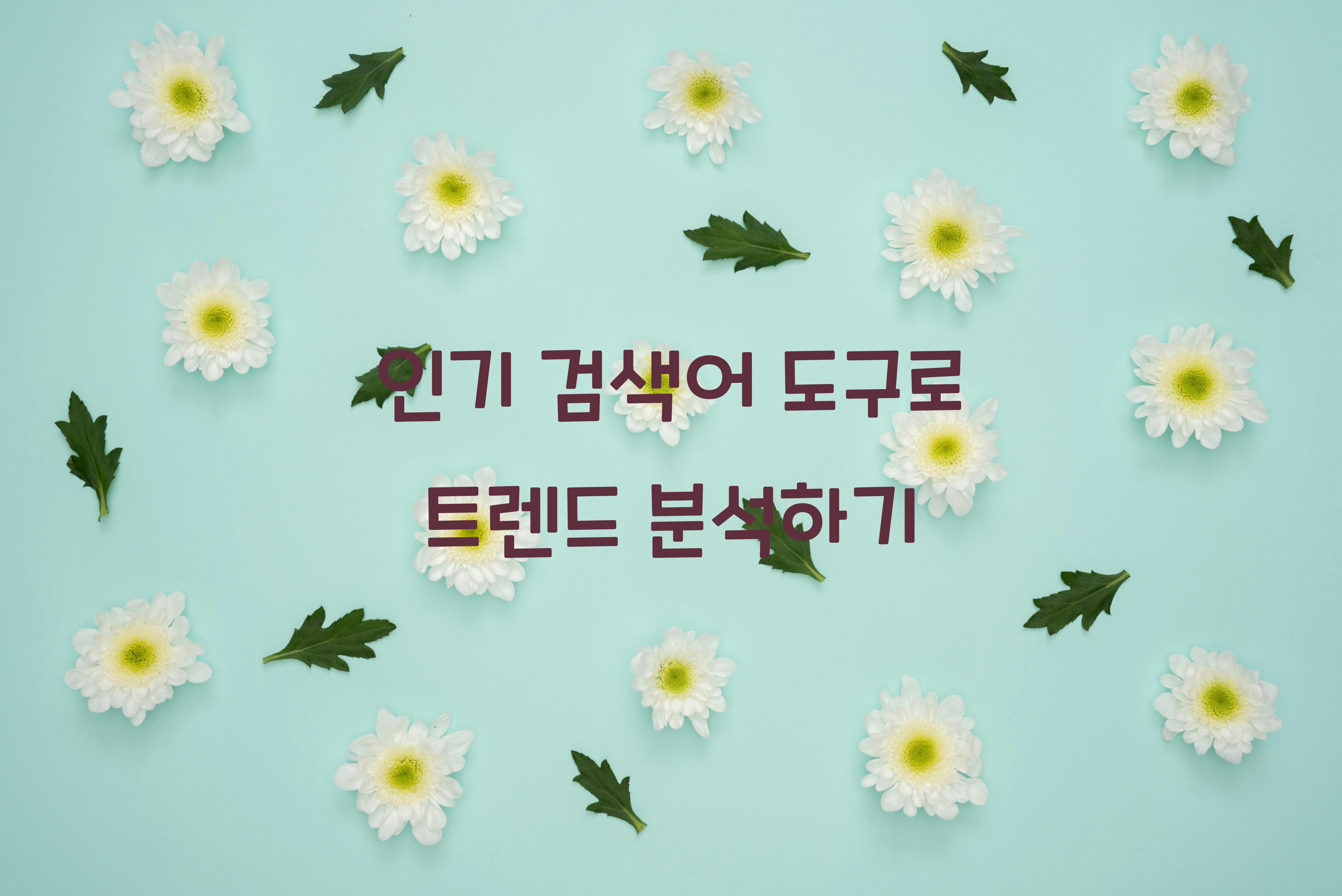인기 검색어 도구