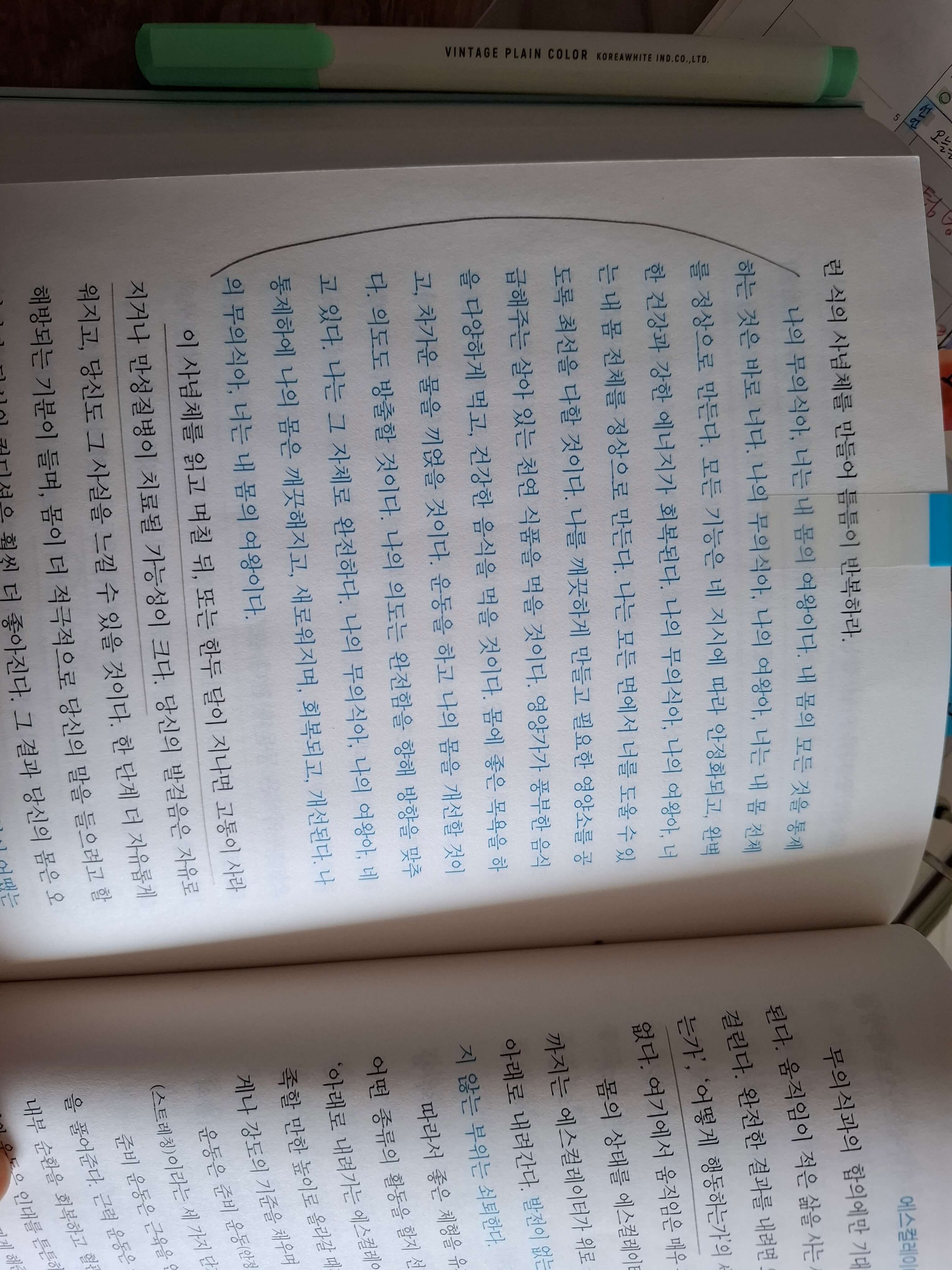 트랜서핑 한국반응 (독자,평가,확산)