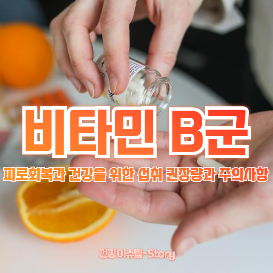 비타민 B군