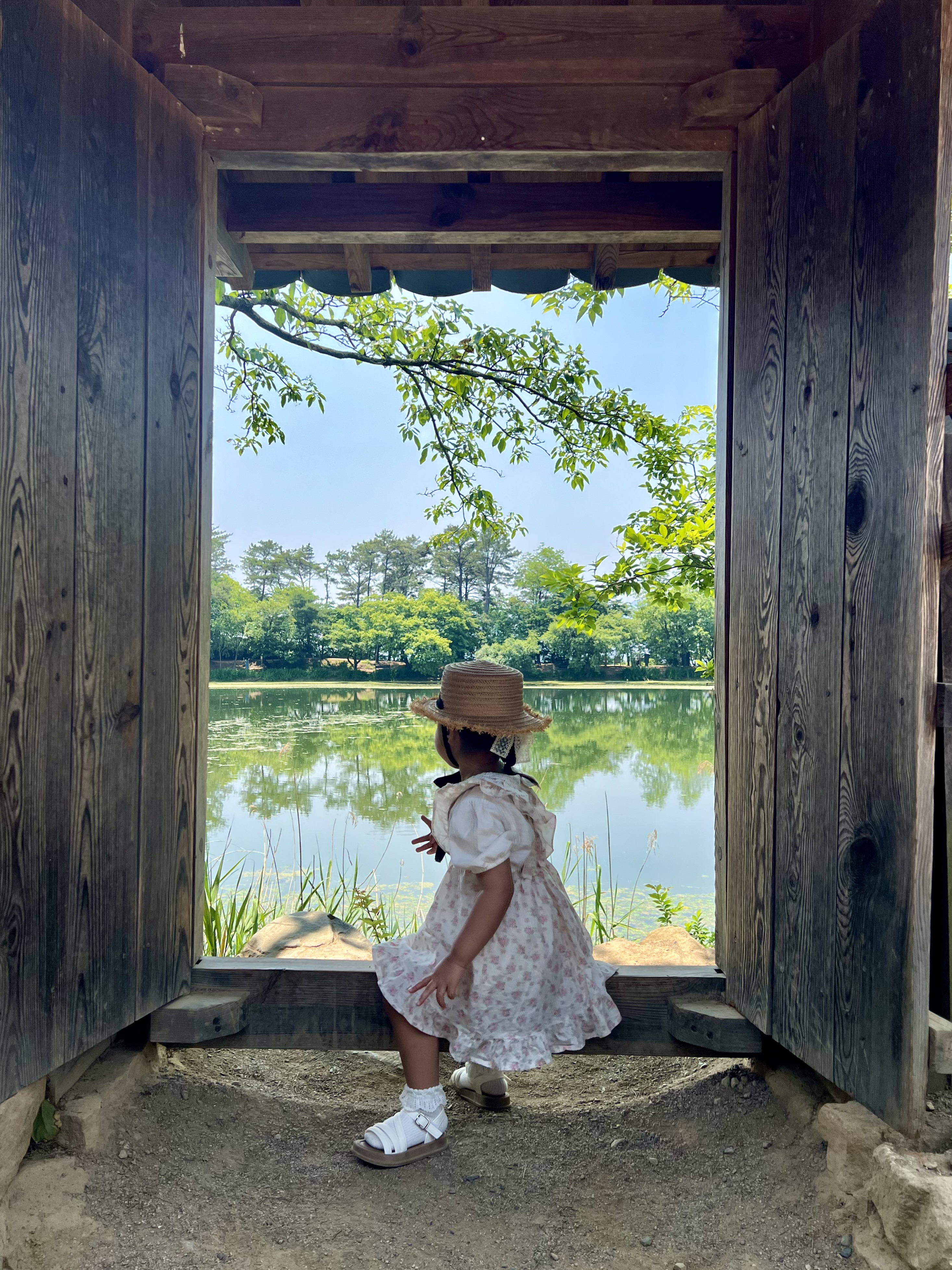 밀양 위양지, 완재정, 위양지 완재정, 완재정 포토존