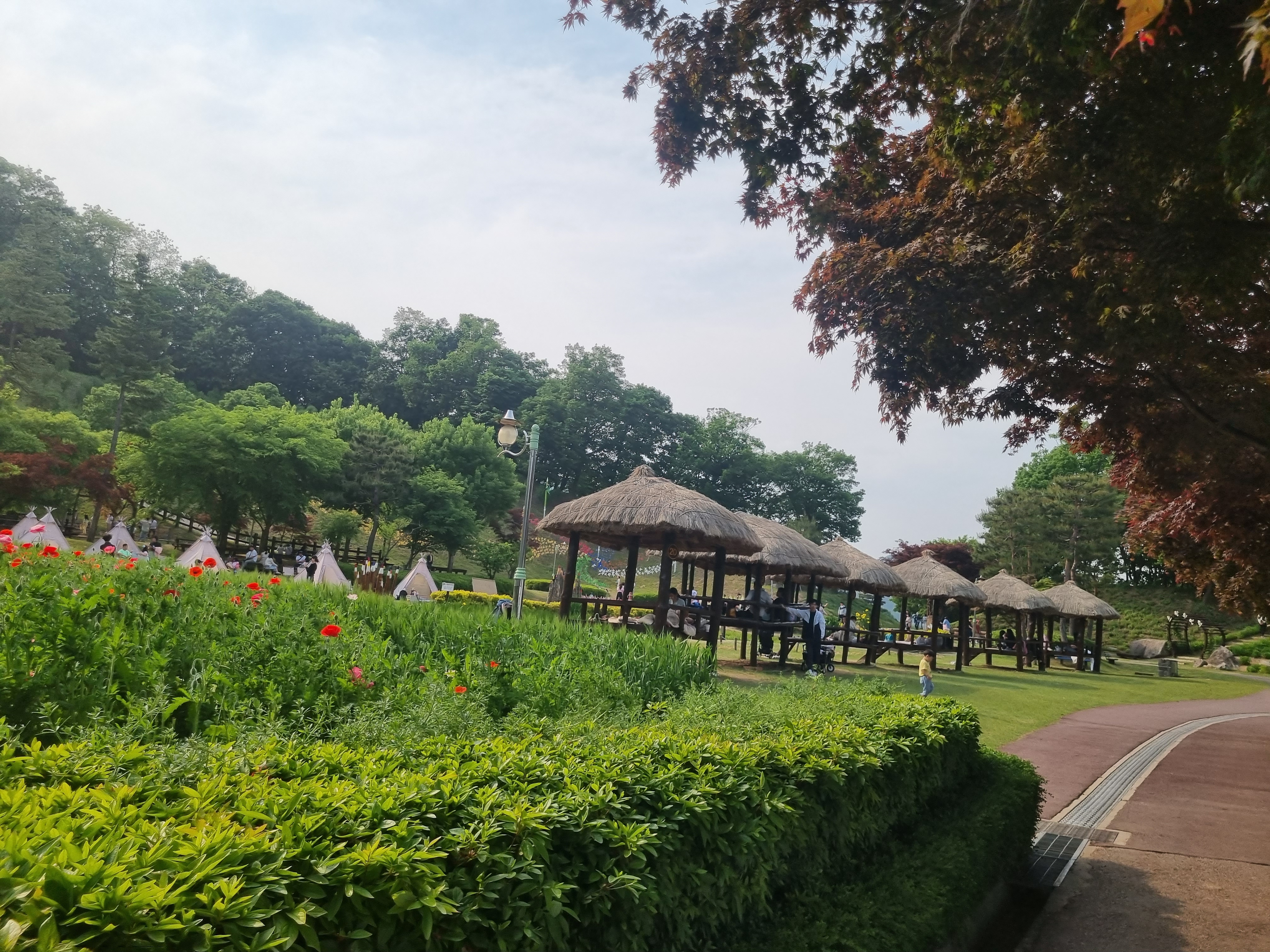 농촌테마파크 원두막