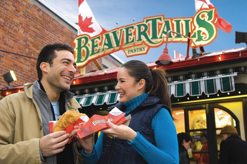 오타와 튤립축제 계획