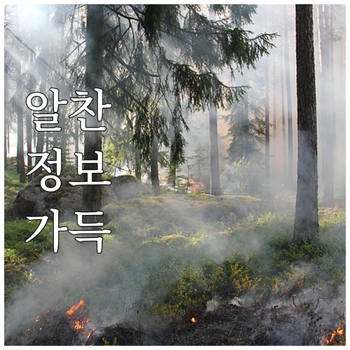 2025 홍천 출산 가정 지원: 보건..