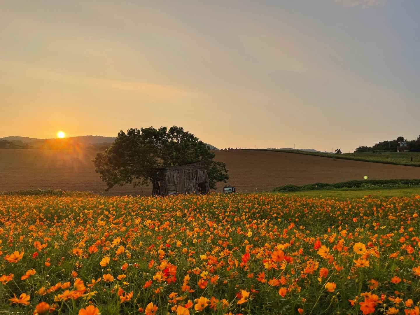보리나라 학원농장