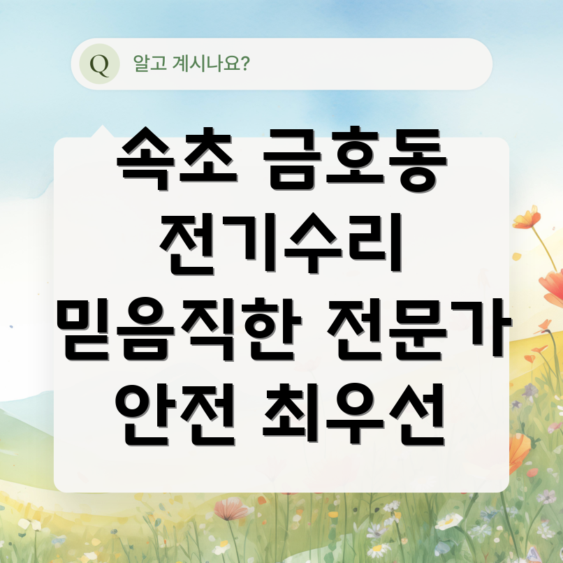 속초시 금호동 전기 수리