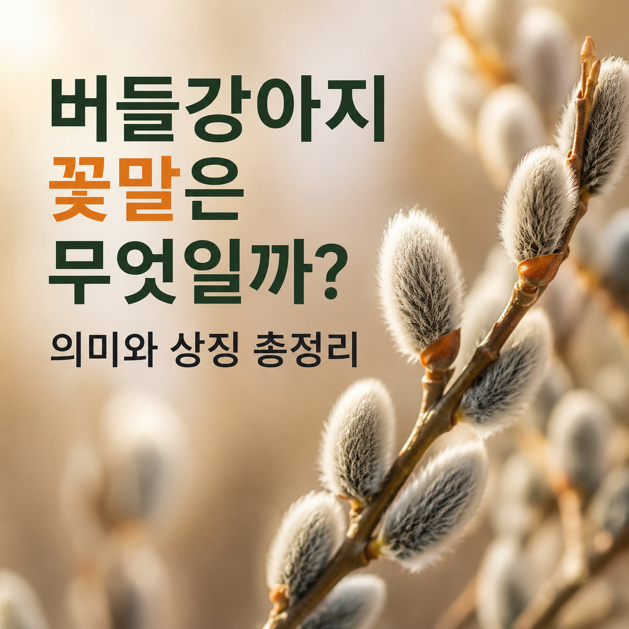 버들강아지 꽃말