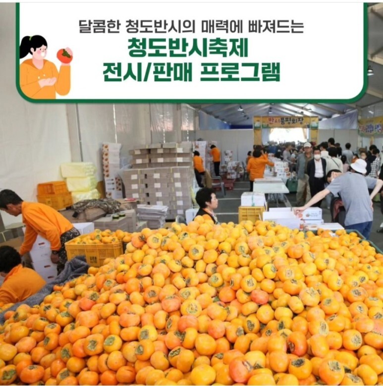  2023 청도 반시 축제 프로그램